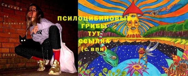 mix Верея