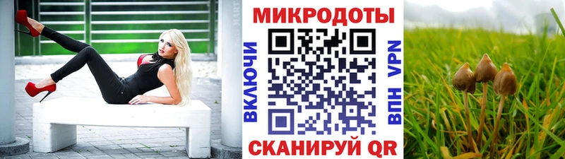 где можно купить наркотик  МЕГА ССЫЛКА  Псилоцибиновые грибы мухоморы  Славянск-на-Кубани 