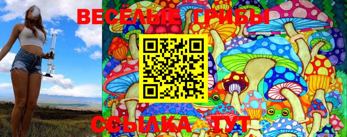 Псилоцибиновые грибы Psilocybe  Вход с VPN  Славянск-на-Кубани 