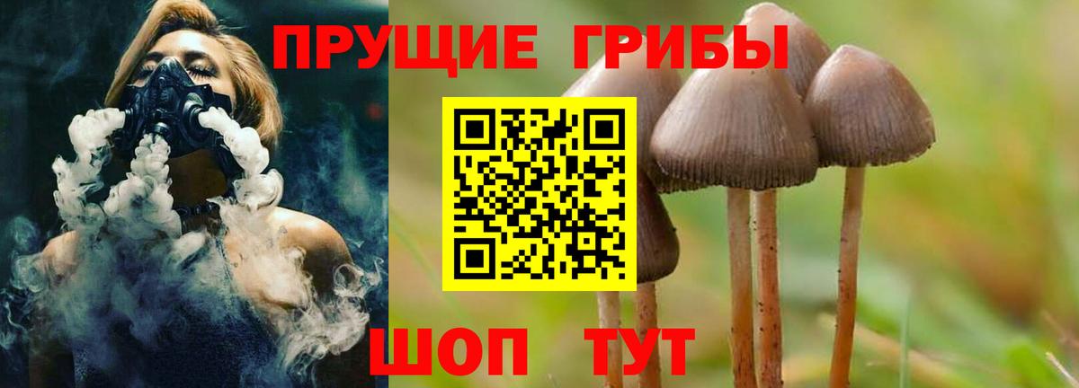 Псилоцибиновые грибы мицелий Славянск-на-Кубани